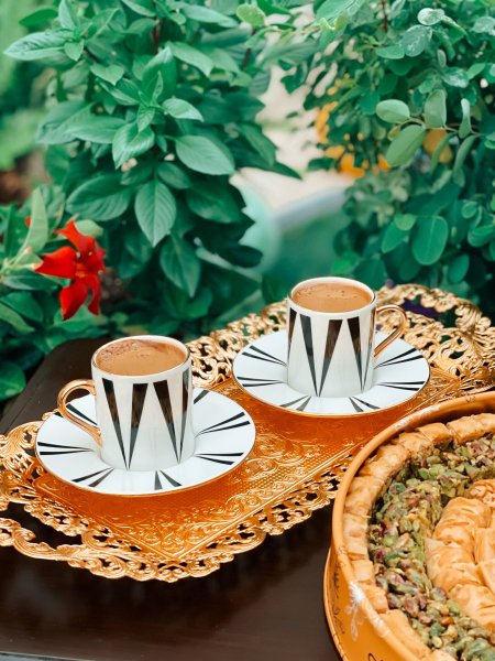 طقم قهوة باشا هوم ٦ وصحونهم