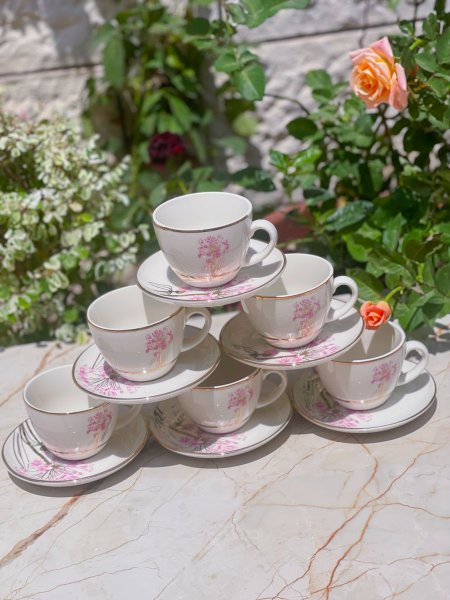 طقم ٦ وصحونهم