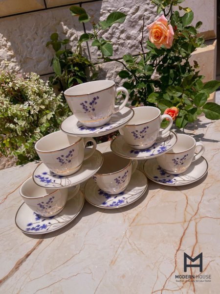 طقم ٦ وصحونهم