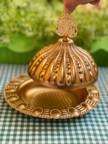 مضيفة بلاستيك ( تمرية )